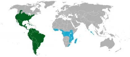 RDT_20241125_1920157493076374639036822.jpg