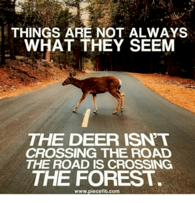 1538894454726.png