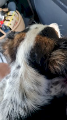 20210619_173652.jpg