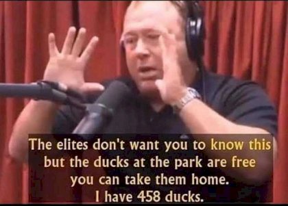 4594975.jpg