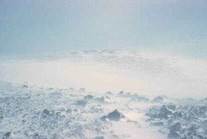 IMG_3478.jpeg