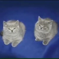 Me and bernd.mp4