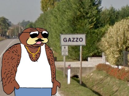 gazzo.jpg