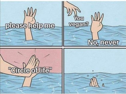 circle of life.jpg