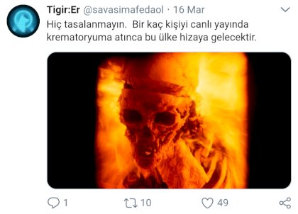 tigir-er_1652690_png.jpg
