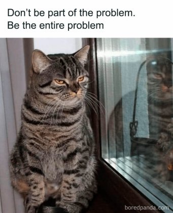 funny-adorable-cat-memes-happycat318-40-64ccf53f41bed__700.jpg