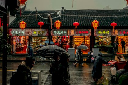 nuno-alberto-MykFFC5zolE-unsplash-scaled.jpg