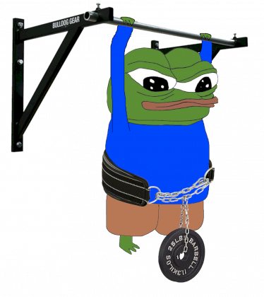 apu_weightedpullups.png