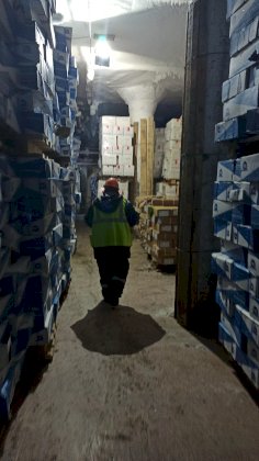 IMG_20201203_164510.jpg