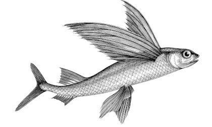 shutterstock_1096200893.jpg