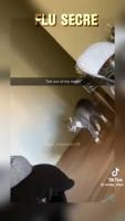8892a082bd1dd205ef24105f9f160416.mp4