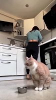 f258fa9b7d06582f.mp4