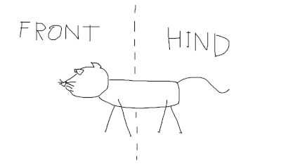 Unbenannt.png