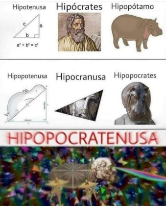 hipio.jpg