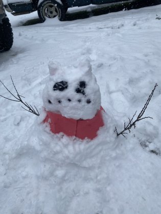 IMG_3261.jpeg