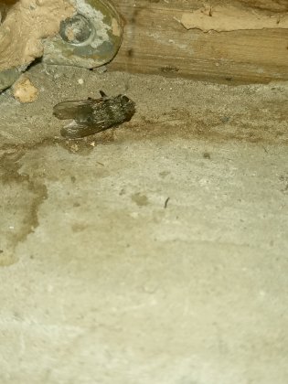 IMG_20220119_195331_661.jpg