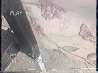 IMG_0411.MP4
