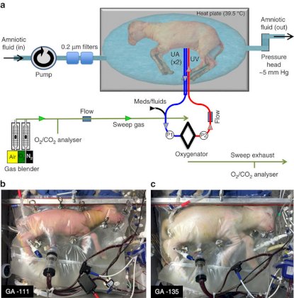 Nature_Communications_Biobag_system_design[1].jpg