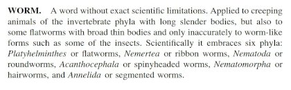 worm.jpg