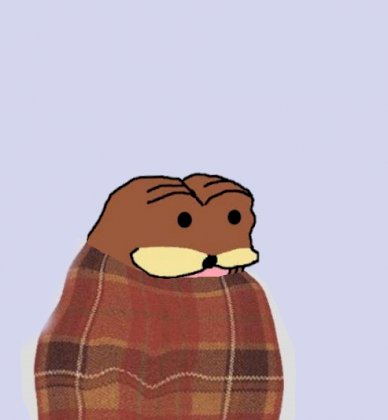 1423093762302.jpg