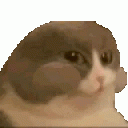 b7dafa7ac20c26c8d960305b7d34286d631110421bb4b4e02782139049598a37-int-d6c4.gif