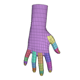 realistic_hand.png
