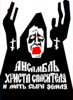 AHSIMSZ_logo.png