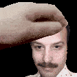 pet igor.png