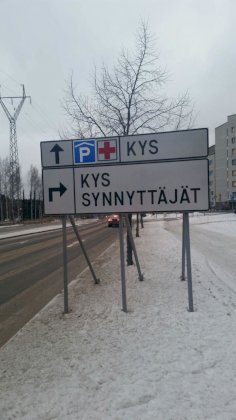 kys.jpg