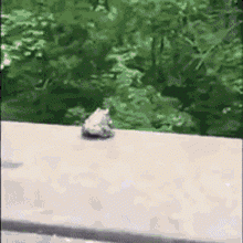 jump.gif