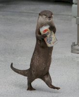 otter_pepsi.jpg