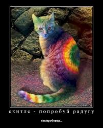 images (3).jpeg
