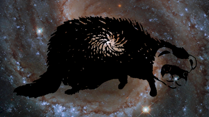 cosmic-ferret-1080.png