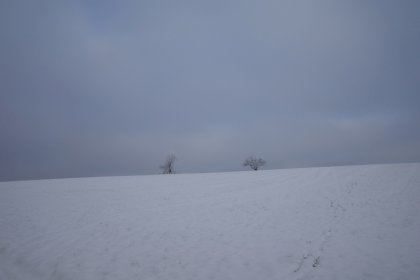 R0001844.jpg