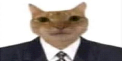 fdogkoj.png