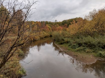 PXL_20210918_064351735.jpg