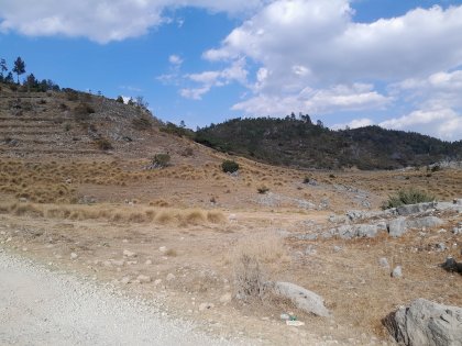 20240324_161000.jpg