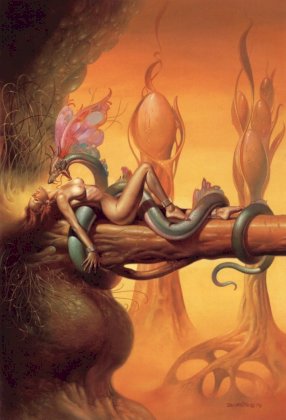 boris_vallejo_84instants.jpg