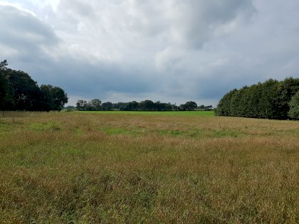 20210927_144343.jpg