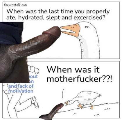 Untitled.jpg