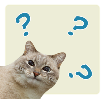 question_blinikot.png