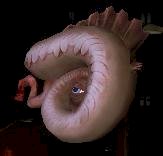 Spiral.jpg