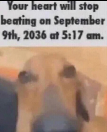 bet.png