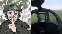 16865829598480.webm