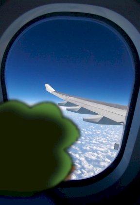 travel feel.jpg