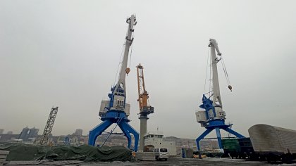 IMG_20201223_122136.jpg