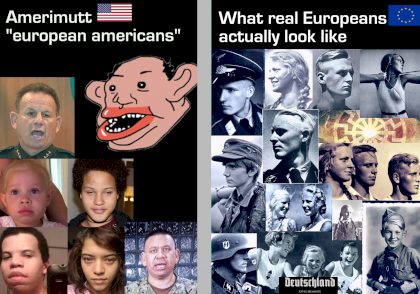 [OC] amerimutt (nm) vs european ww2 ss facial morphology of the combined collages.png
