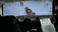 rallivittu.mp4