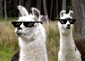 deal with it.gif
