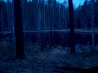 P1010040.jpg